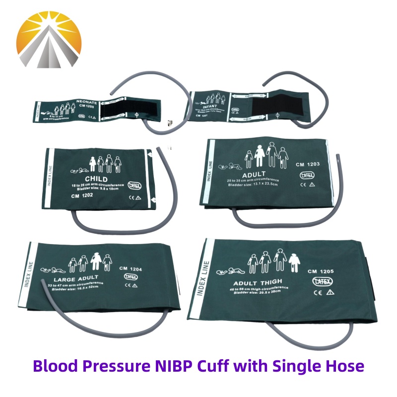 Six Sizes Available Neonates C - Dual Monitor Stand recensione e prezzo