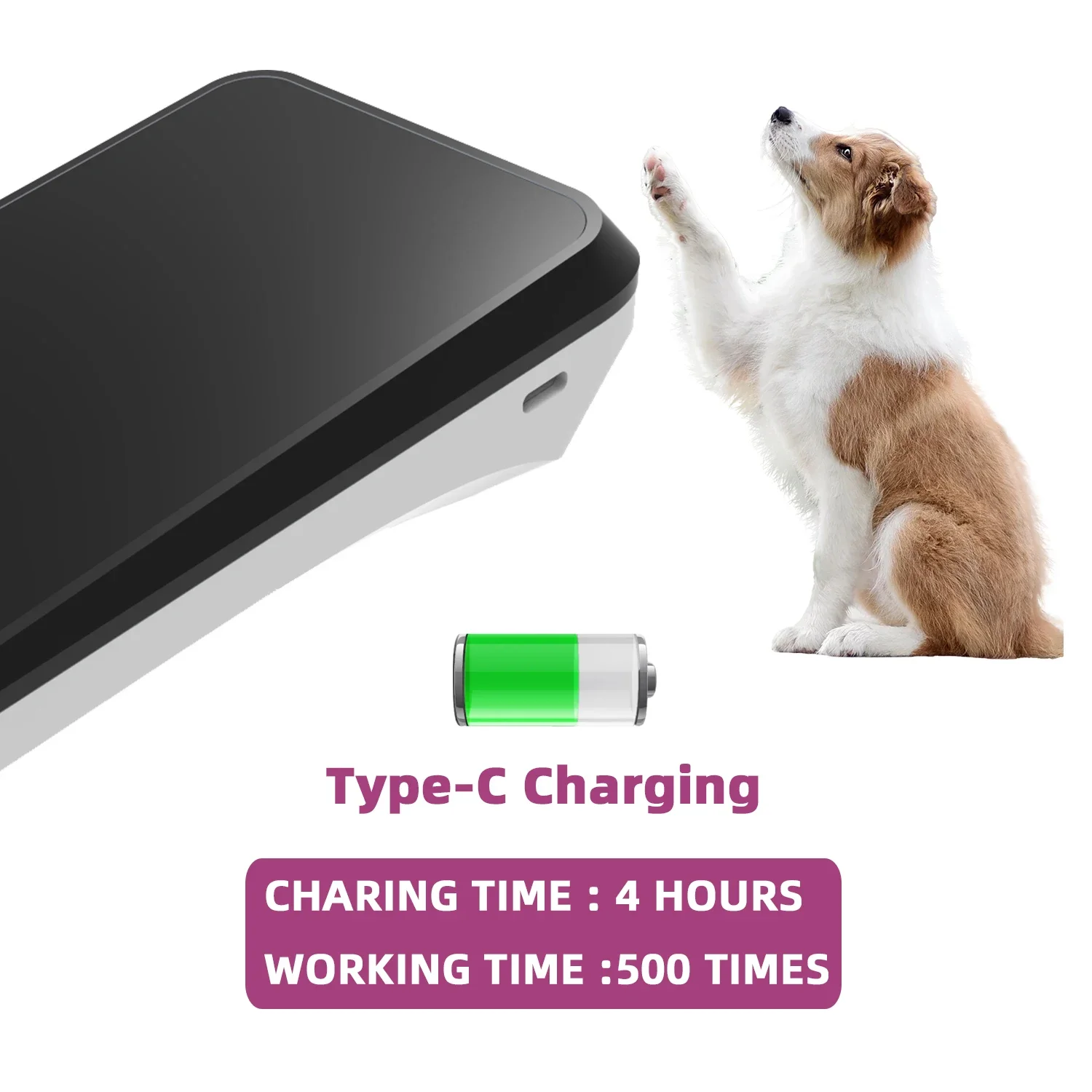Pepultech Vet Health Care Pet  - Dual Monitor Stand recensione e prezzo